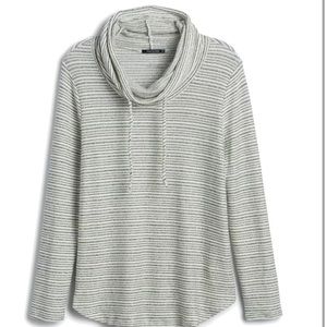 Pink Clover Knit Top